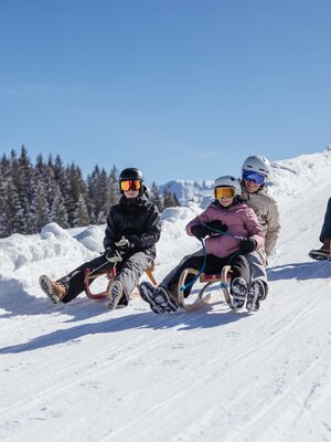 Rodeln_Family-Fun_Naturrodelbahn©ski_juwel_alpbachtal_wildschoenau.jpg | © Ski Juwel Alpbachtal Wildschönau 