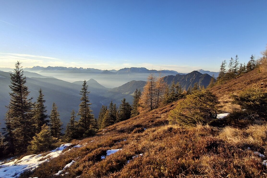 Wildschönau Schatzberg | © Wildschönau Tourismus