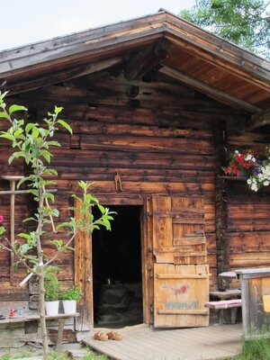 Farnkaseralm Wildschönau Hütte Rechte TVB Wildschönau.JPG | © Wildschönau Tourismus