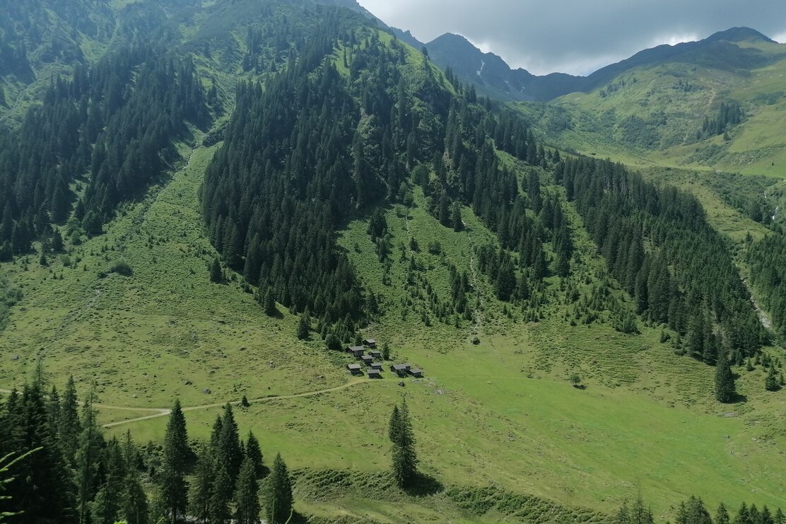 Wildschönau Kundl Almen @ | © Wildschönau Tourismus