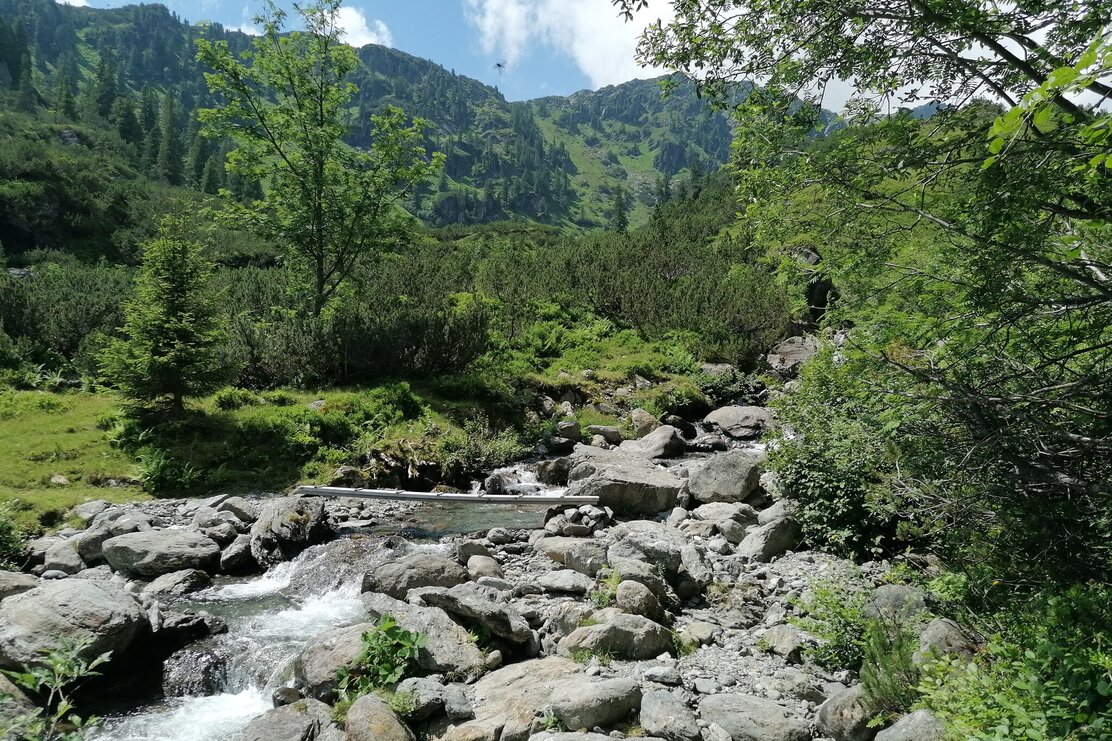 Wildschönau Gressensteinalm @ | © Wildschönau Tourismus