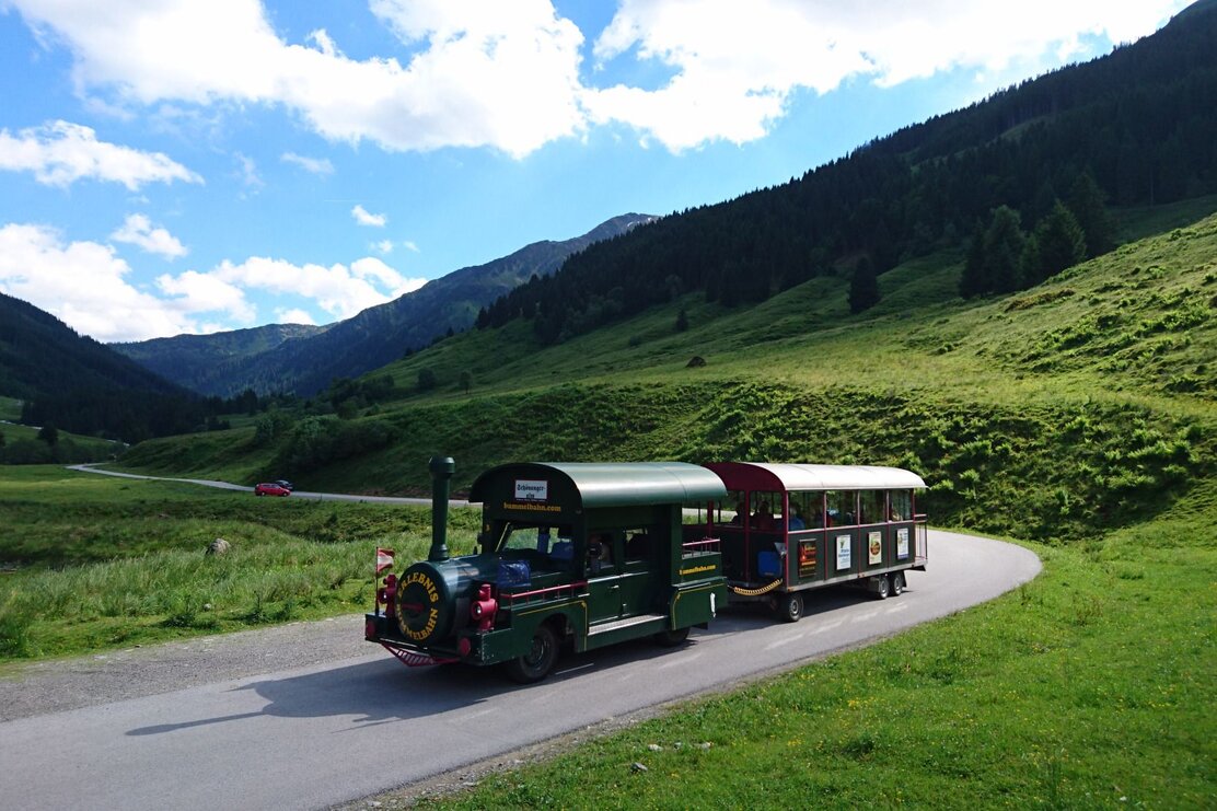 Bummelbahn auf der Schönangeralm Auffach Wildschönau  FG T.L. Rechte Wildschönau Tourismus.jpg | © Wildschönau Tourismus