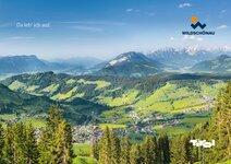 Info Card Sommer