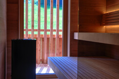 Aparthotel Iris - Apartment Bergklee Sauna