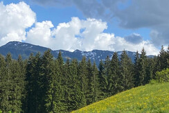 Ausblick von Balkon / Küche