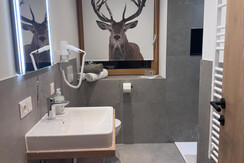 DU/WC Apartment Alpenhof Deluxe