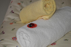 Alpenhof Wildschönau (48)