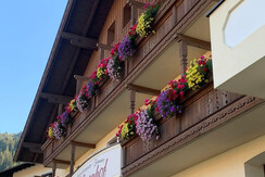 332632374_763973598484968_3850891802972612340_n