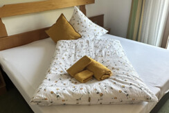 Studio Einzelbelegung Alpenhof Wildschönau