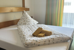 Studio Einzelbelegung Alpenhof Wildschönau