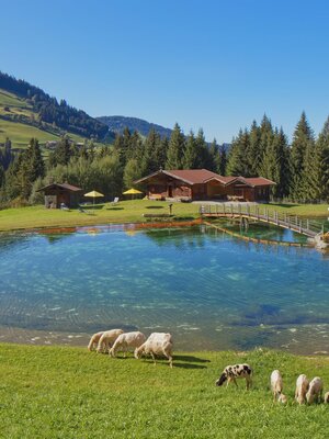 Hotel Talhof 2019 - 0263