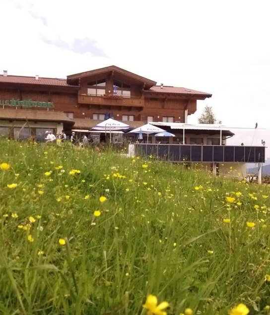 Frühlingswiese