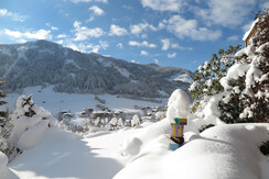 Winterschlaf im Garten