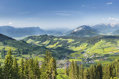 Niederau  - Sommer  Panorama
