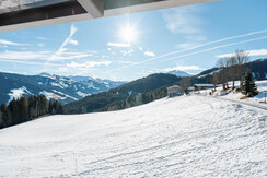 Premiumsuite_Lämpersberg(11)