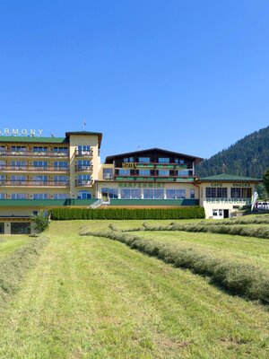 View Hotel Harfenwirt