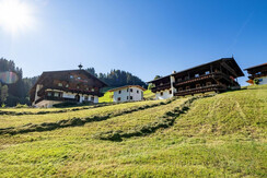Ferienhof_Rainer_Haus_am_Wildbach_Auffach_Haus_aus