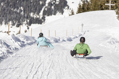 Rodeln Lanerköpfl Wildschönau Niederau Rechte Wild