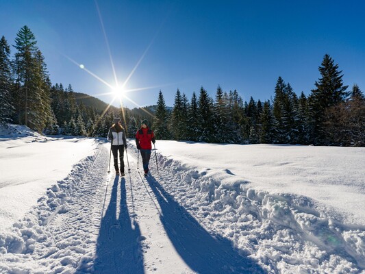 Winterwandern Wildschönau Tourismus FG H. Dabernig
