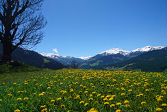 Ausblick Egg Richtung Auffach im Frühling mit schn