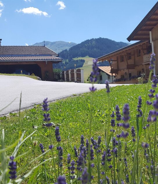 Ansicht Hinteraltensberg Sommer