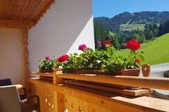 Aussicht Sommer Zimmer Kragenjoch