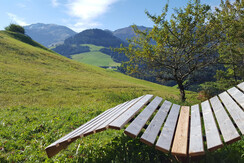 Aussicht Weinrebenhütte Sommer