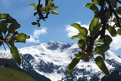 Aussicht Weinrebenhütte Frühling