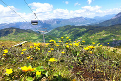 Markbachjochbahn Frühling Wildschönau FG T.L. Rech