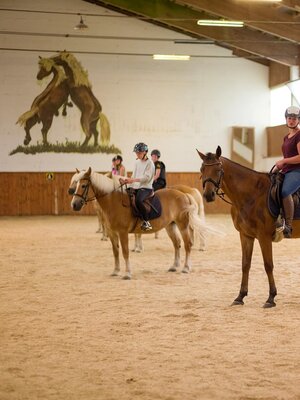 Various Riding Offers