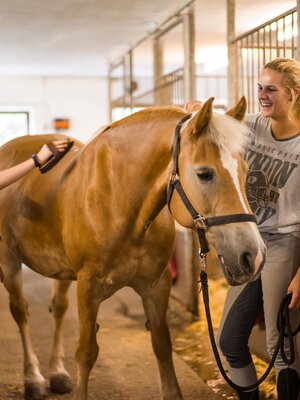 Mithelfen bei der Pferdepflege