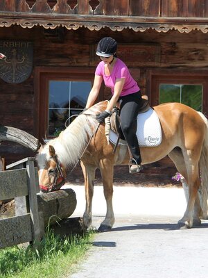 Großes Angebot an Ausritten