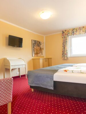 Schneeberger 09.04 Pan12 