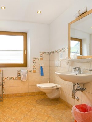 Schneeberger 09.04 Pan21  - Kopie - Kopie