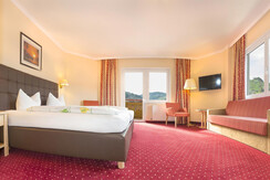 Schneeberger 09.04 Pan 1 