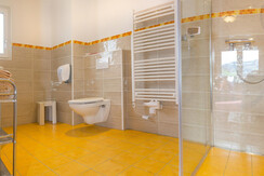 Schneeberger 09.04 Pan18  - Kopie (2)