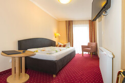 Schneeberger 09.04 Pan 8 