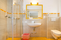 Schneeberger 09.04 Pan20 