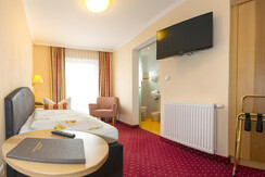 Schneeberger 09.04 Pan29 