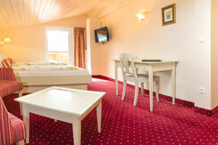 Schneeberger 09.04 Pan11 