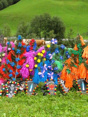 geschmückte Kühe Rechte TVB Wildschönau (27)