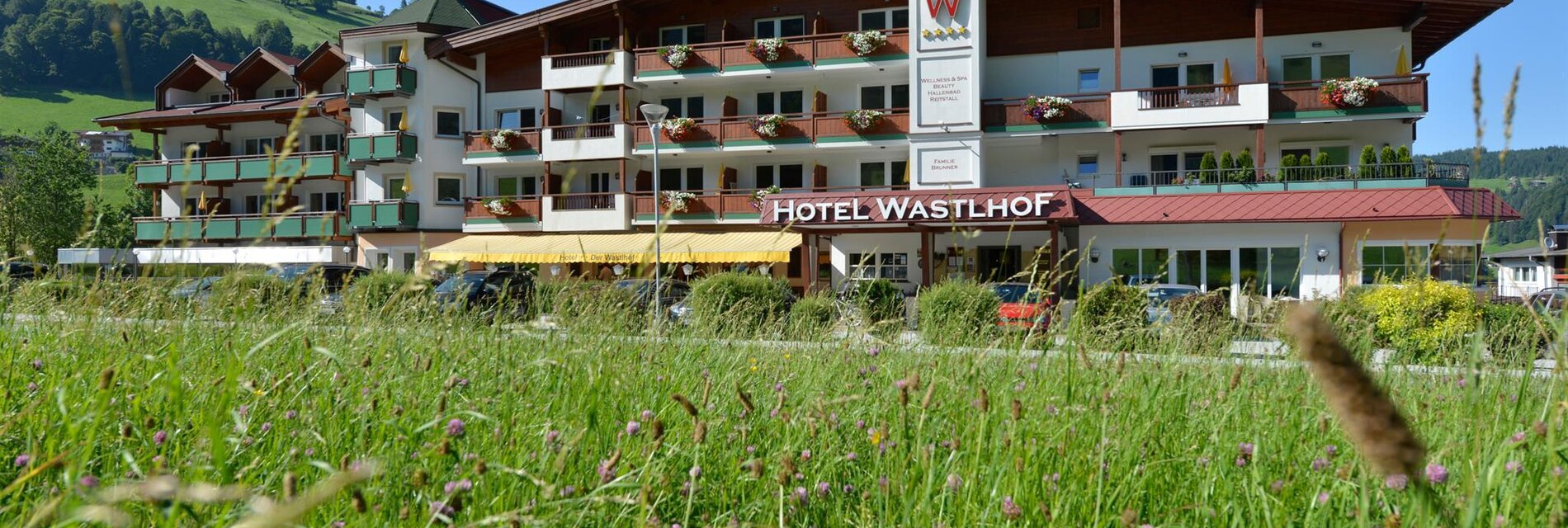 Alt text