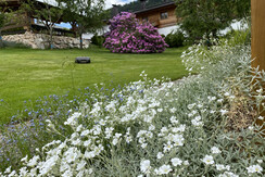 Jochum_Appartements_Wildschoenau_Rhododendron_Roll