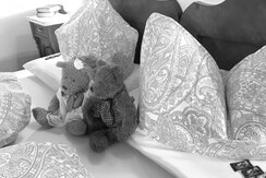 Jochum_Appartements_Wildschoenau_GllSZ_Teddies