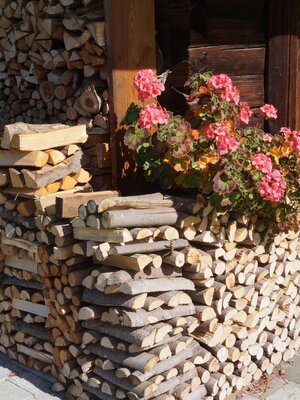 Sommer in der Wildschönau