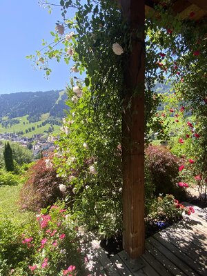 Terrasse mit Schaukel