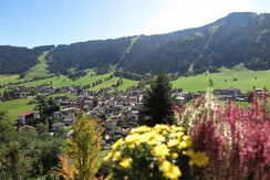 view from the balcony