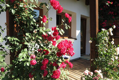 Terrasse vor dem Schlafzimmer