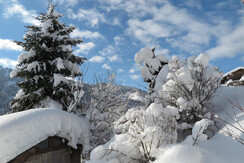 Garten im Winterschlaf