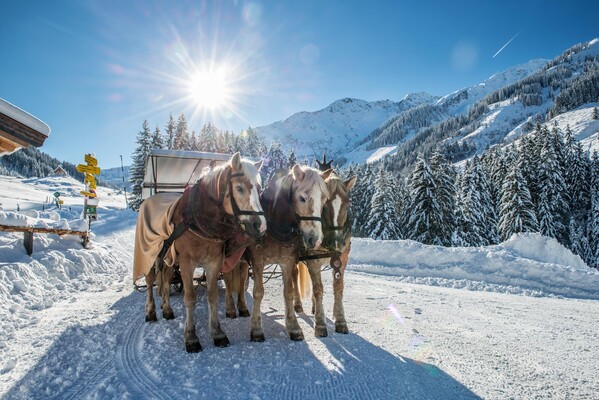 Auffach  Schönangeralm mit Pferdekutsche 1 Winter 